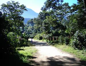 pic2sm